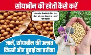 Soybean Farming