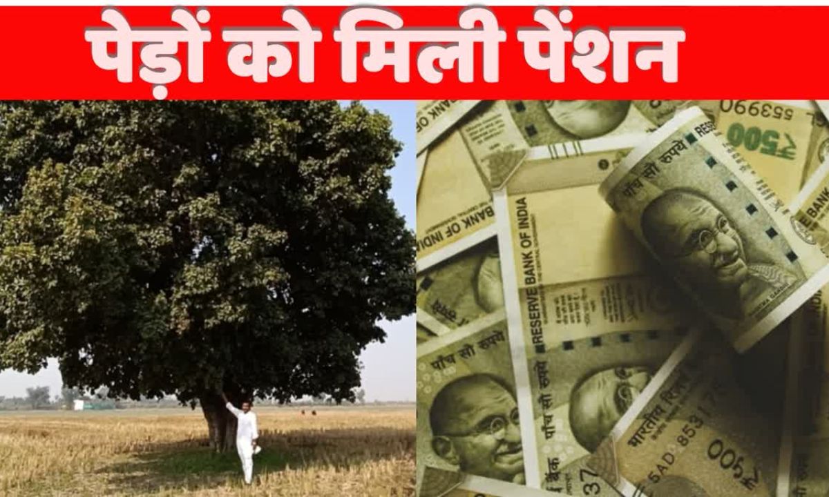 Tulsi Ke Upay