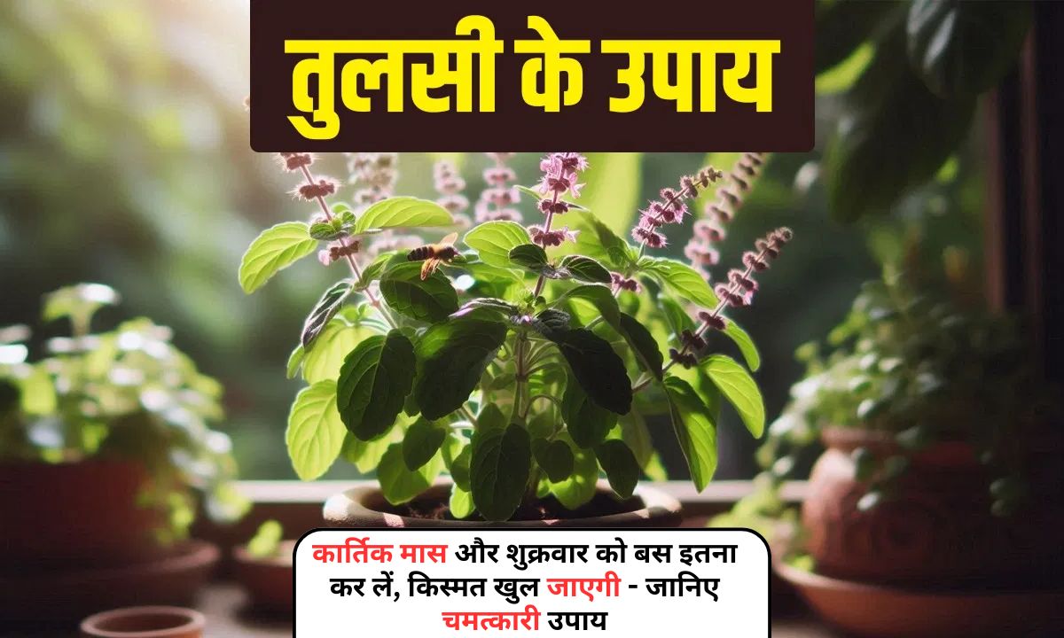 Tulsi Ke Upay