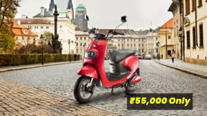 Evolet Pany