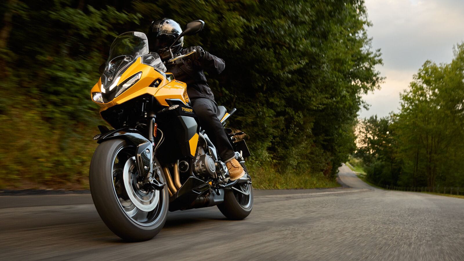 Triumph Tiger Sport 800