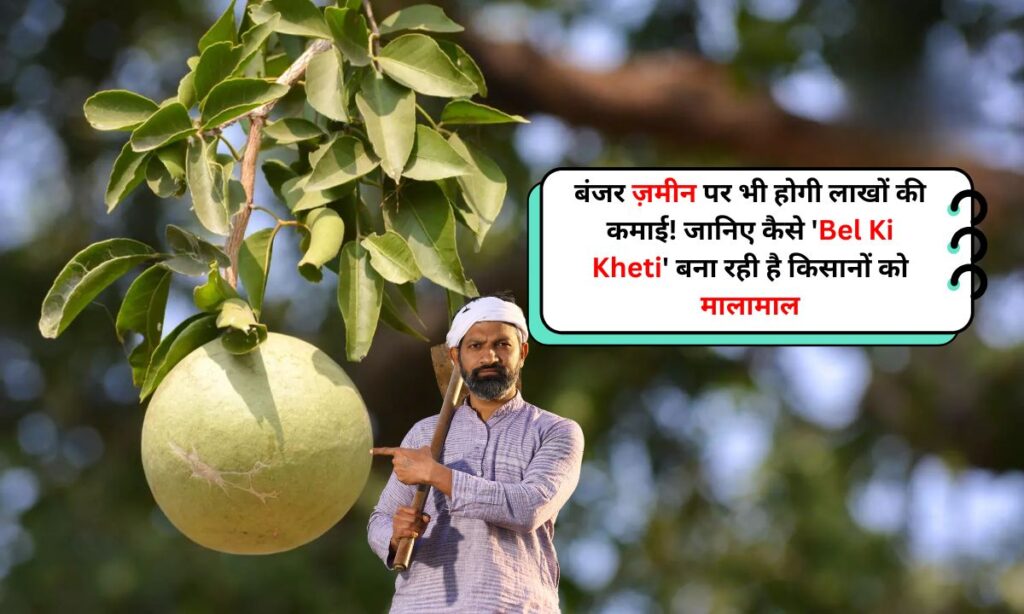 Bel Ki Kheti
