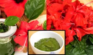 DIY Hair Mask
