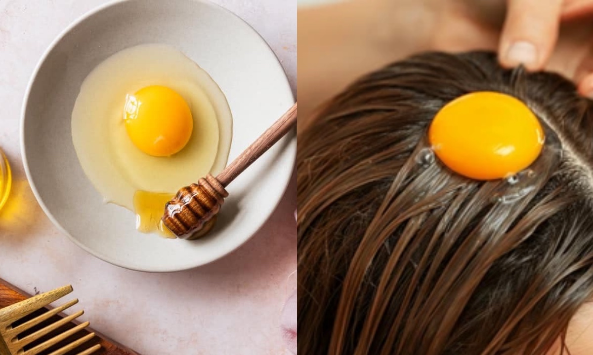 Egg For Hair