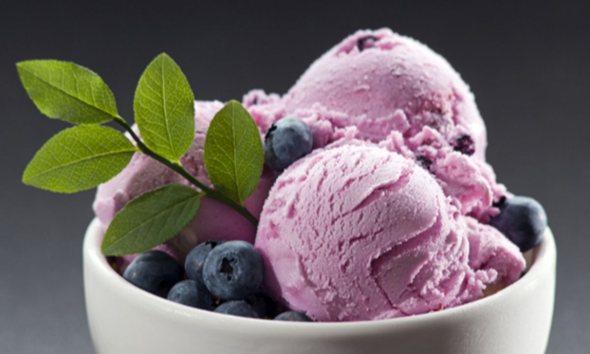 Jamun Ice Cream