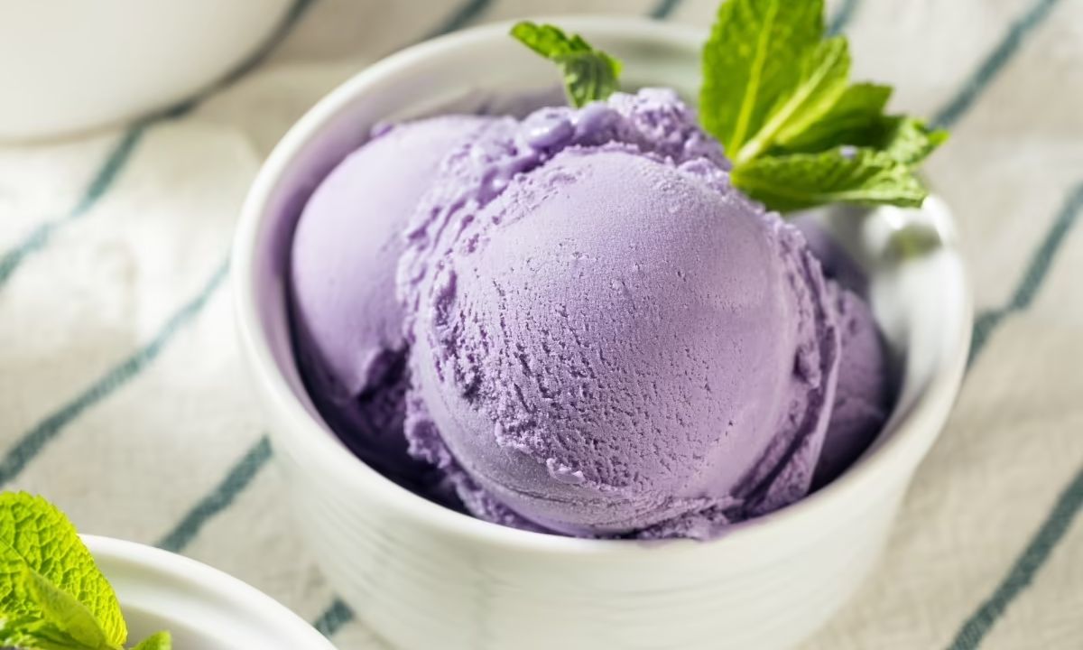 Jamun Ice Cream