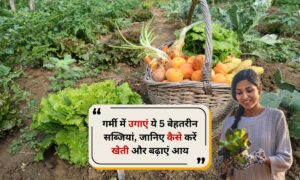Kitchen Garden