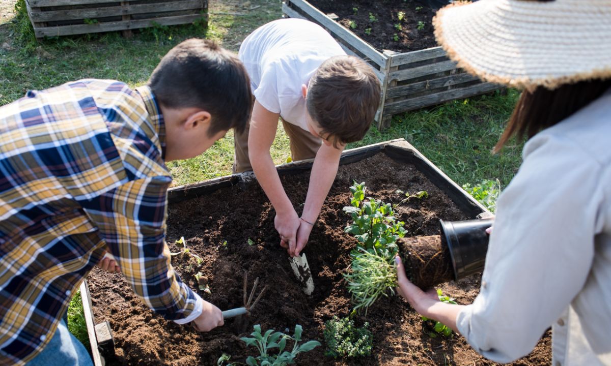 Kitchen Garden