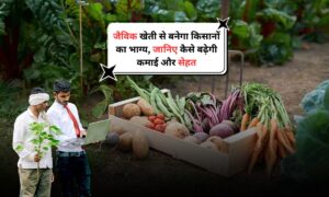 Organic Farming