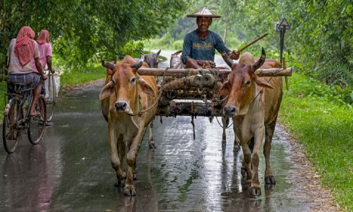 PM Kisan Yojana