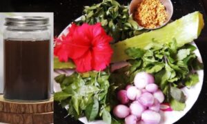 Homemade Hair Oil: सिर्फ 10 मिनट में करें झड़ते बालों का आसान घरेलू इलाज