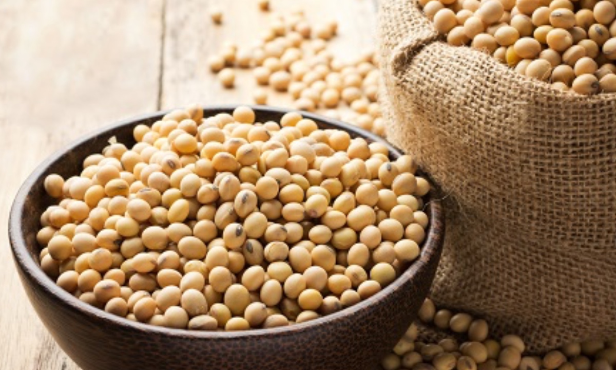 Soybean For Health