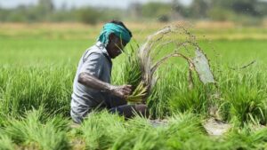 PM Fasal Bima Yojana