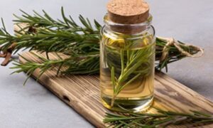 Rosemary Water For Hair