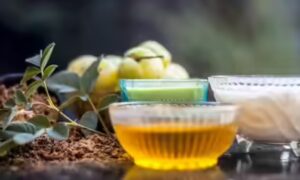 DIY Hair Tonic: रूखे और कमजोर बालों के लिए आसान DIY हेयर टॉनिक