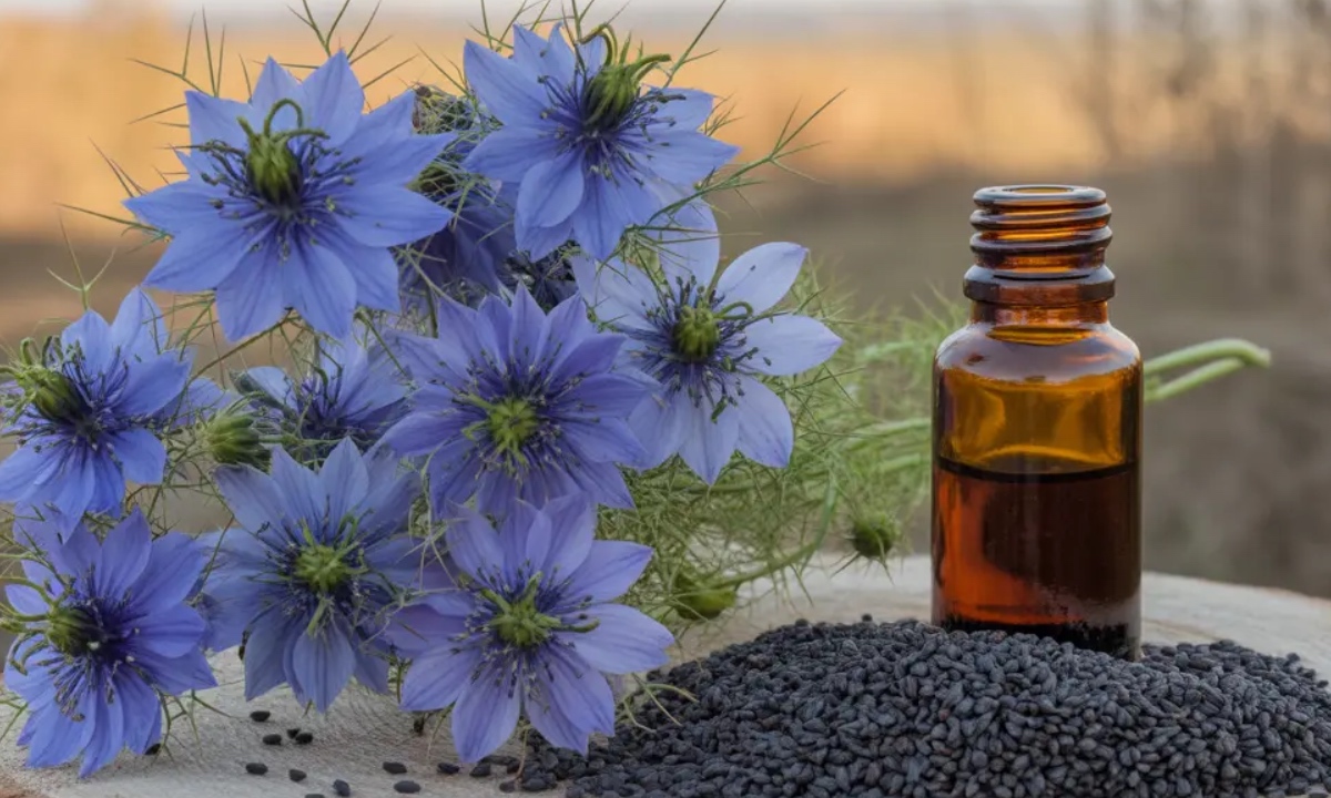 Nigella Seeds For Hair