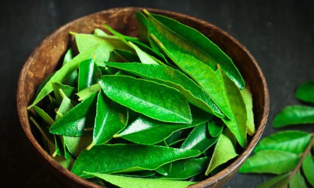 Curry Leaves For Hair