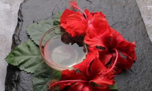 Hibiscus For Hair
