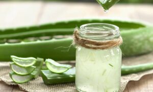Aloe Vera Gel For Skin