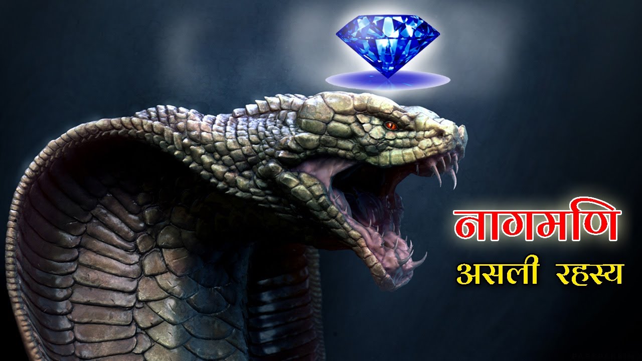 Nagmani Mystery